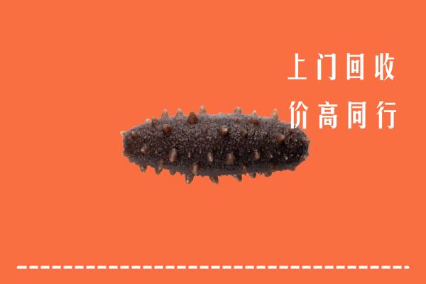 高价求购：呼伦贝尔回收海参